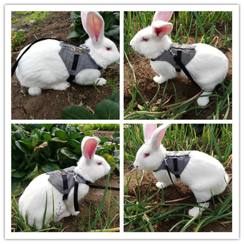 Adorable Rabbit Dress with Leash
