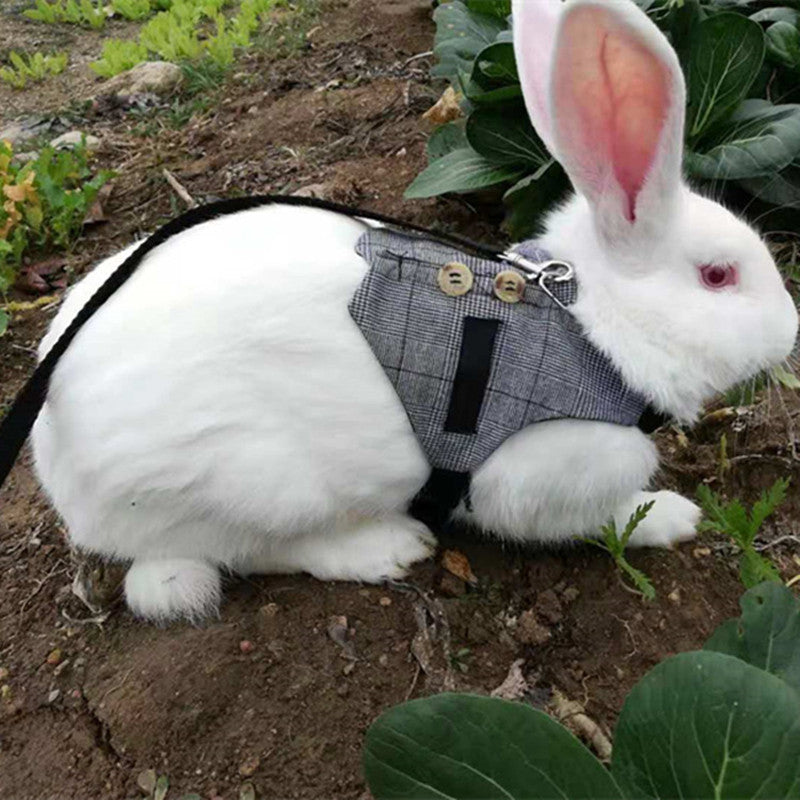 Adorable Rabbit Dress with Leash