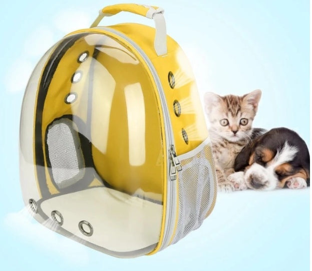 Full Transparent Backpack Carrier
