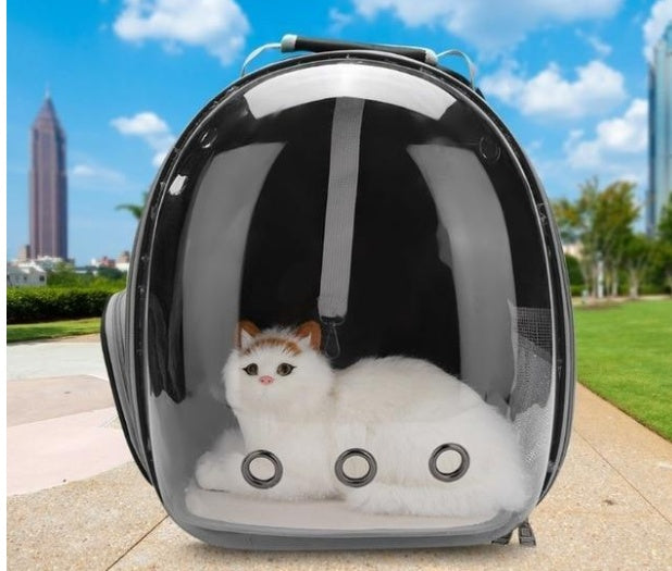 Full Transparent Backpack Carrier