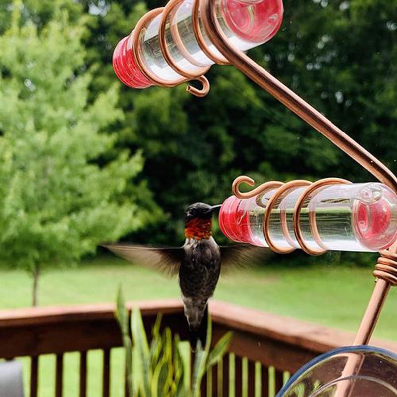 Hummingbird Feeder with Suction Cup