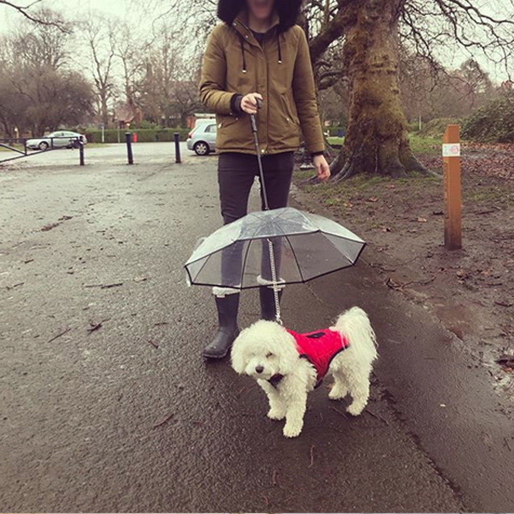 Transparent Umbrella with Removable Leash