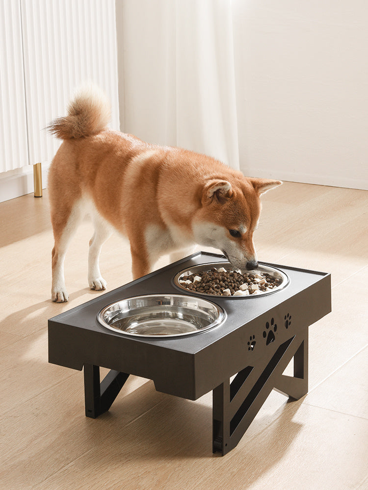 Portable Folding Bowl
