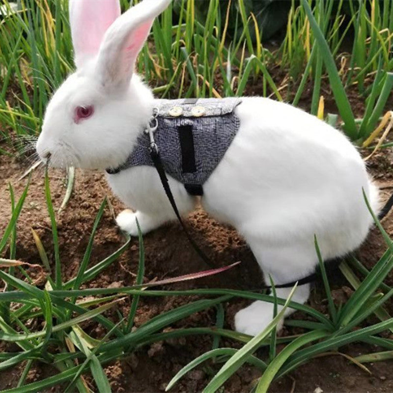 Adorable Rabbit Dress with Leash