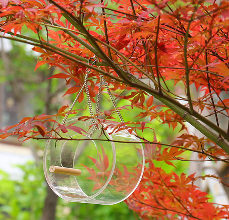 Durable Acrylic Bird Food Box