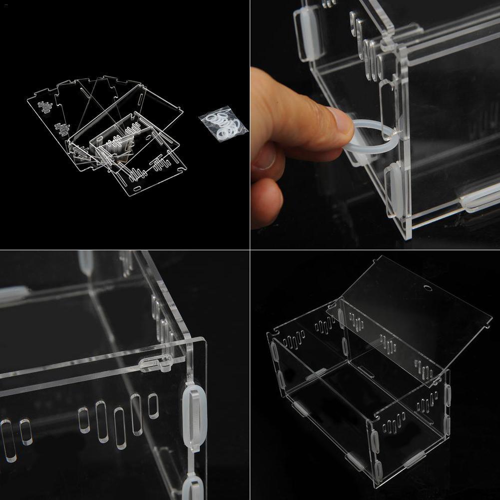 Transparent Acrylic Reptile Breeding Box
