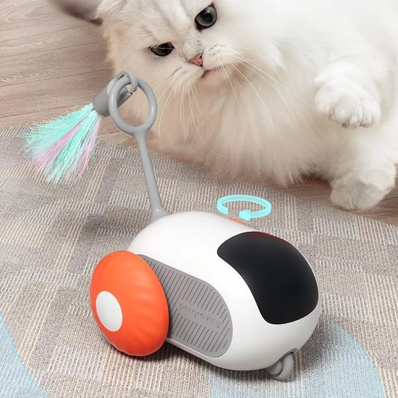 Remote Control Interactive Toy