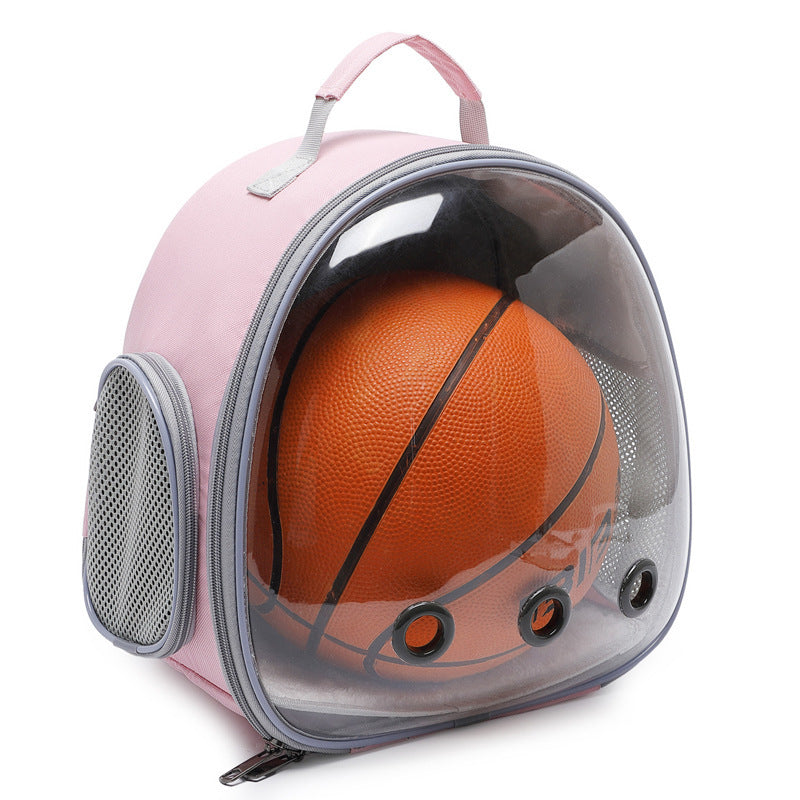 Transparent Backpack Carrier