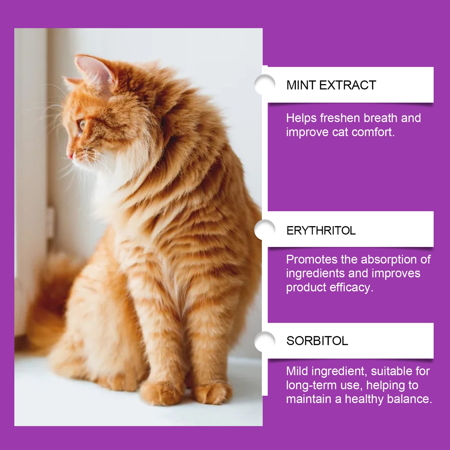 Daily Care Pet Vitamin Supplement