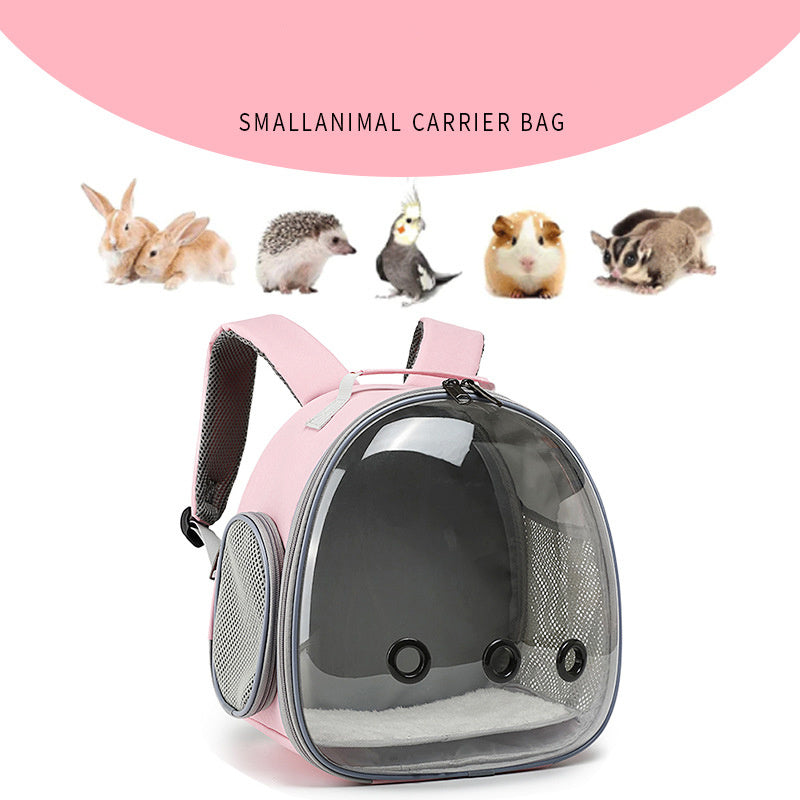Transparent Backpack Carrier