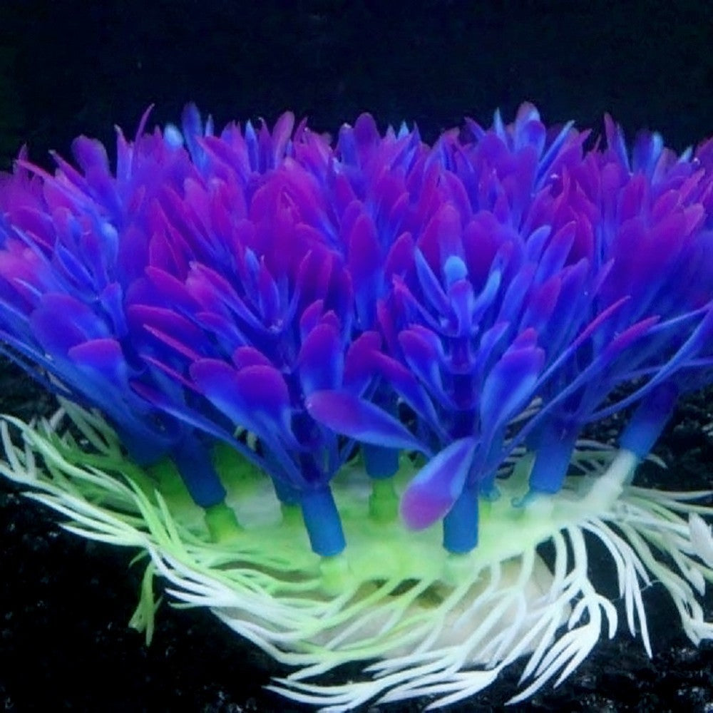 Eco-Friendly Plastic Fish Tank Ornament Base