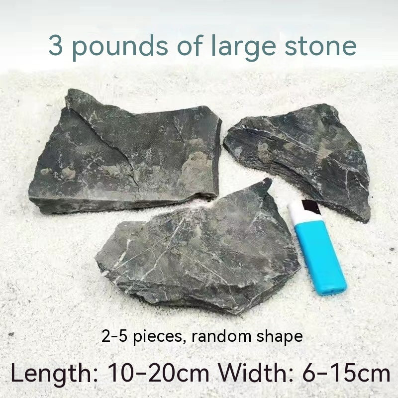 Natural Seiryu Stone Turtle Platform