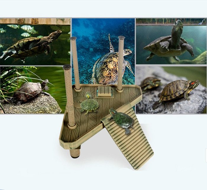 Durable Plastic Turtle Basking Platform