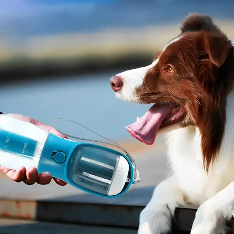 3-in-1 Portable Water Bottle