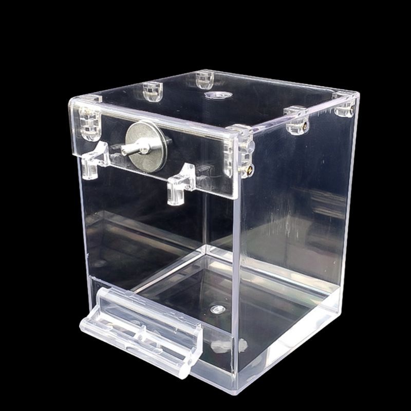 Transparent External Bird Bath Basin