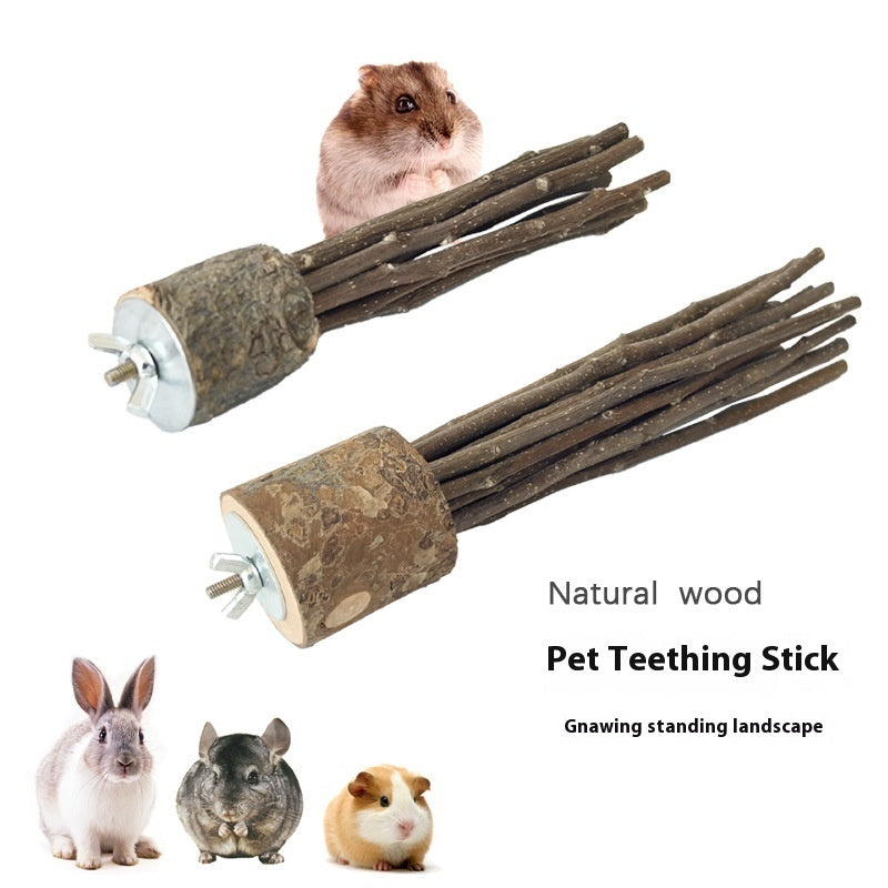 Natural Applewood Molar Rod Toy