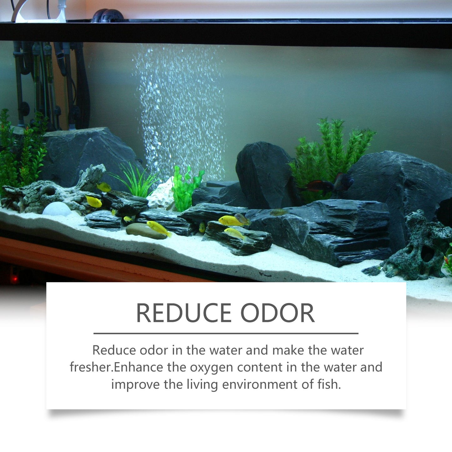 Aquarium Water Quality Cleaner