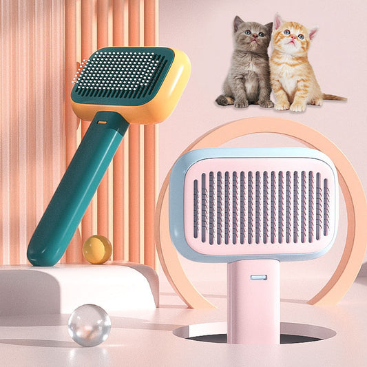Hair Brush with Massage Comb