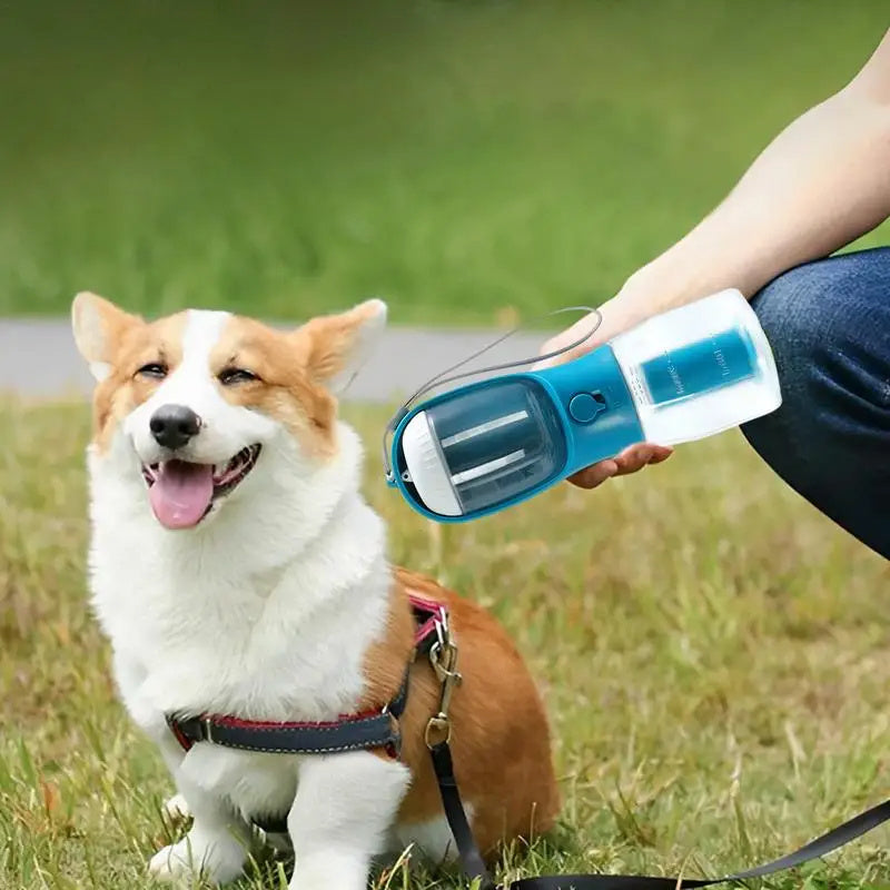 3-in-1 Portable Water Bottle