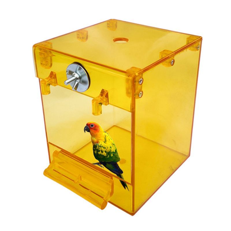 Transparent External Bird Bath Basin