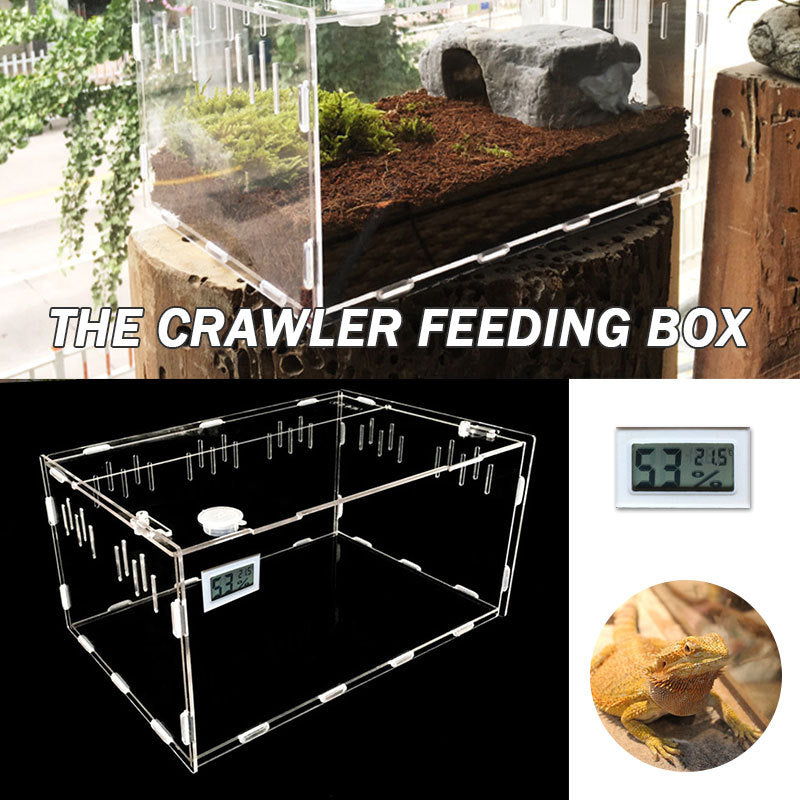 Transparent Acrylic Reptile Breeding Box