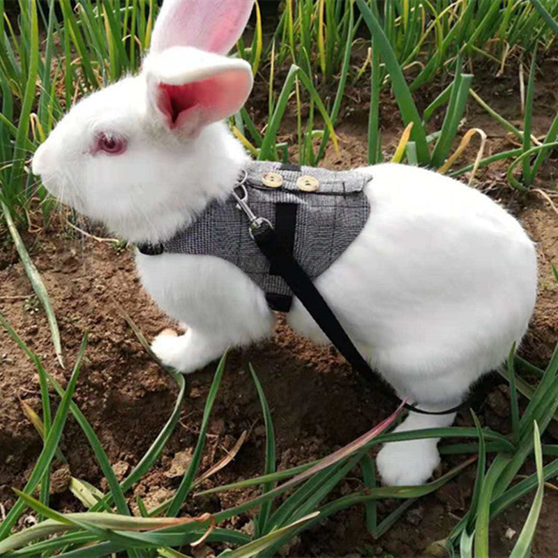 Adorable Rabbit Dress with Leash