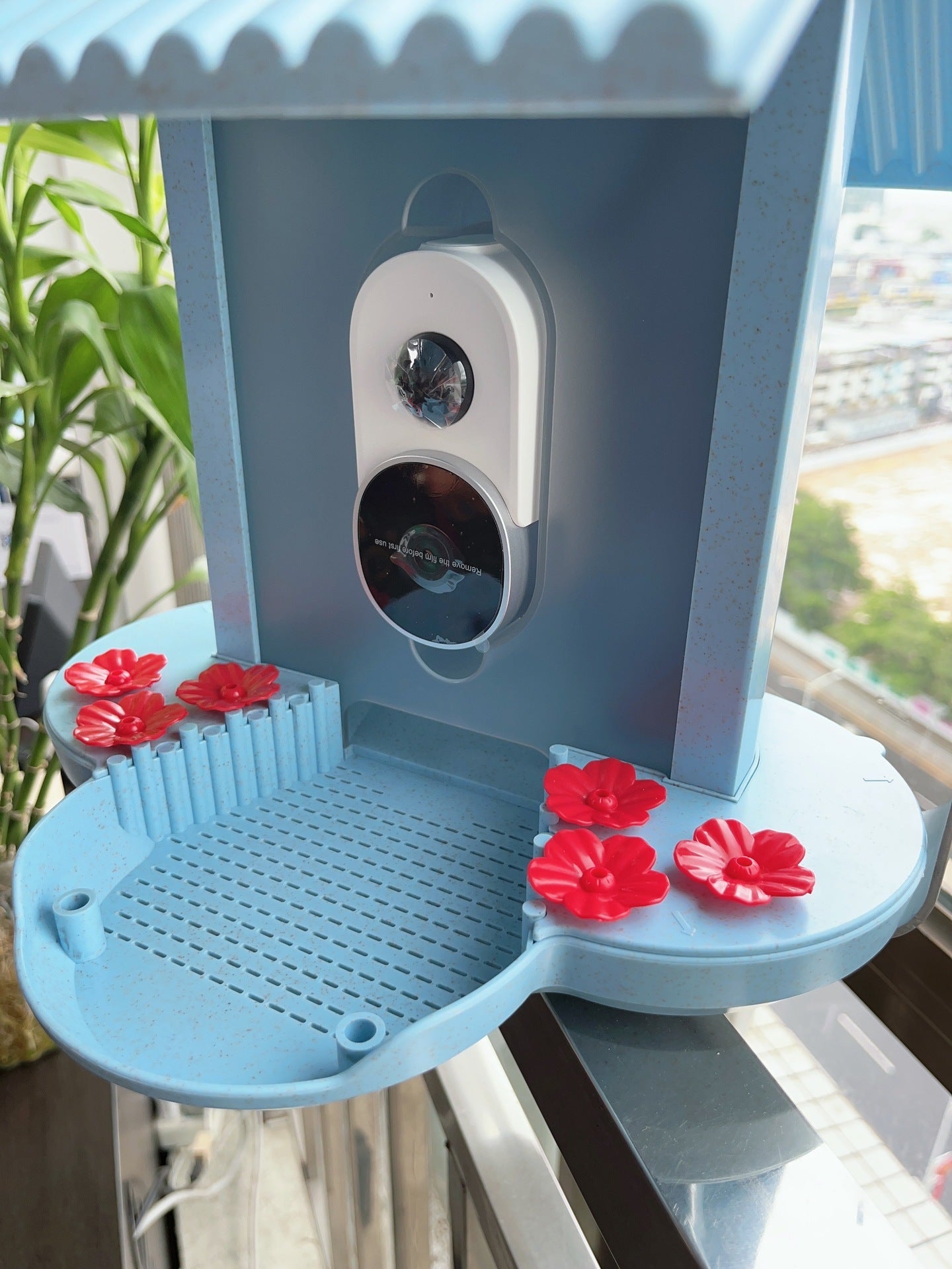 Intelligent Bird Feeder with AI Bird Recognition