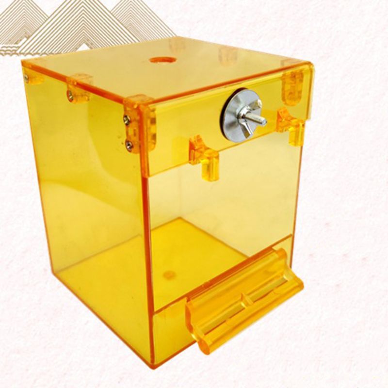 Transparent External Bird Bath Basin