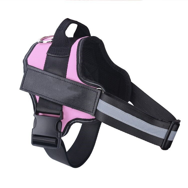 No-Pull Personalized Harness