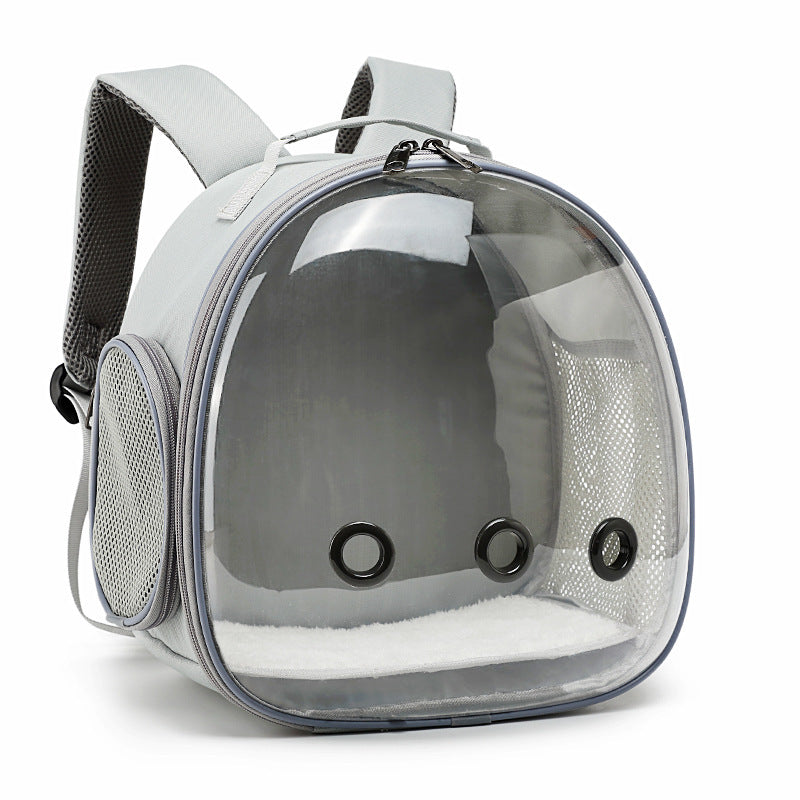 Transparent Backpack Carrier