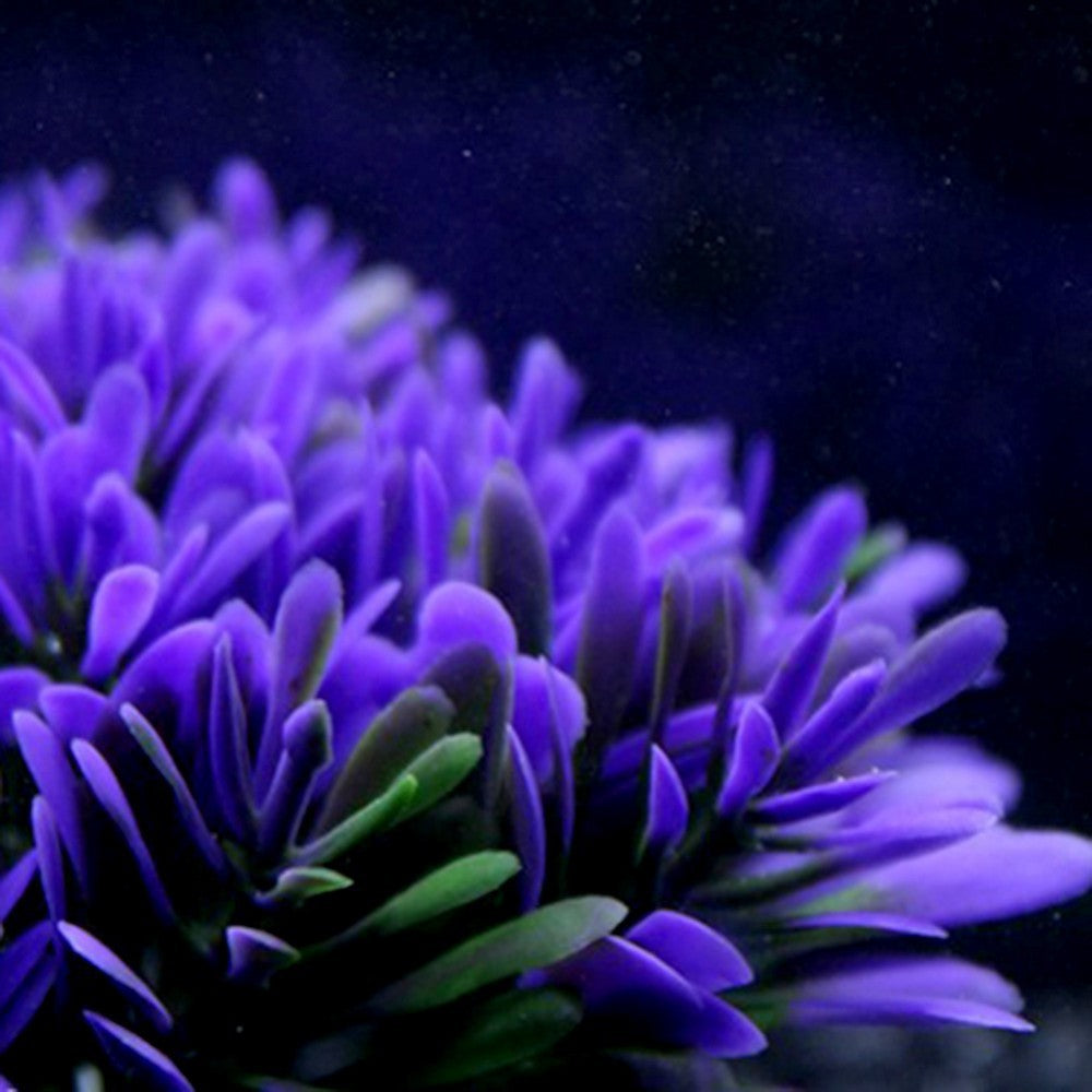 Eco-Friendly Plastic Fish Tank Ornament Base