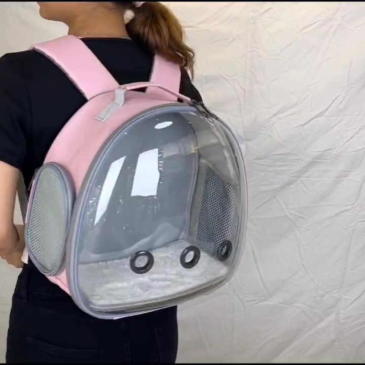 Transparent Backpack Carrier