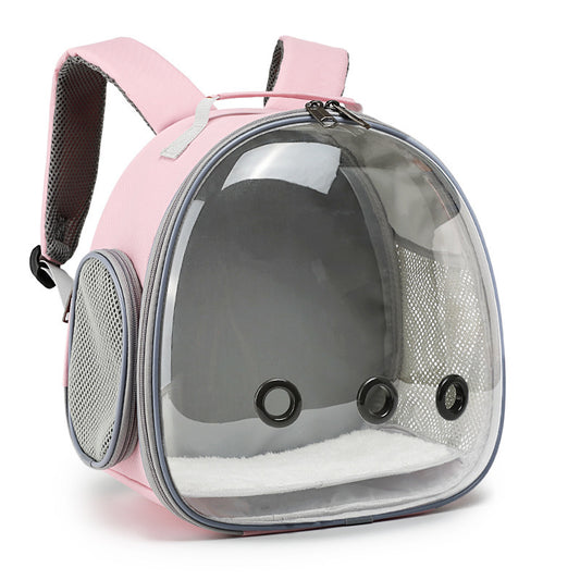 Transparent Backpack Carrier