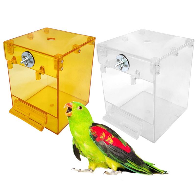 Transparent External Bird Bath Basin