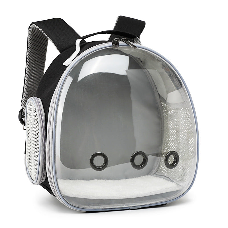Transparent Backpack Carrier