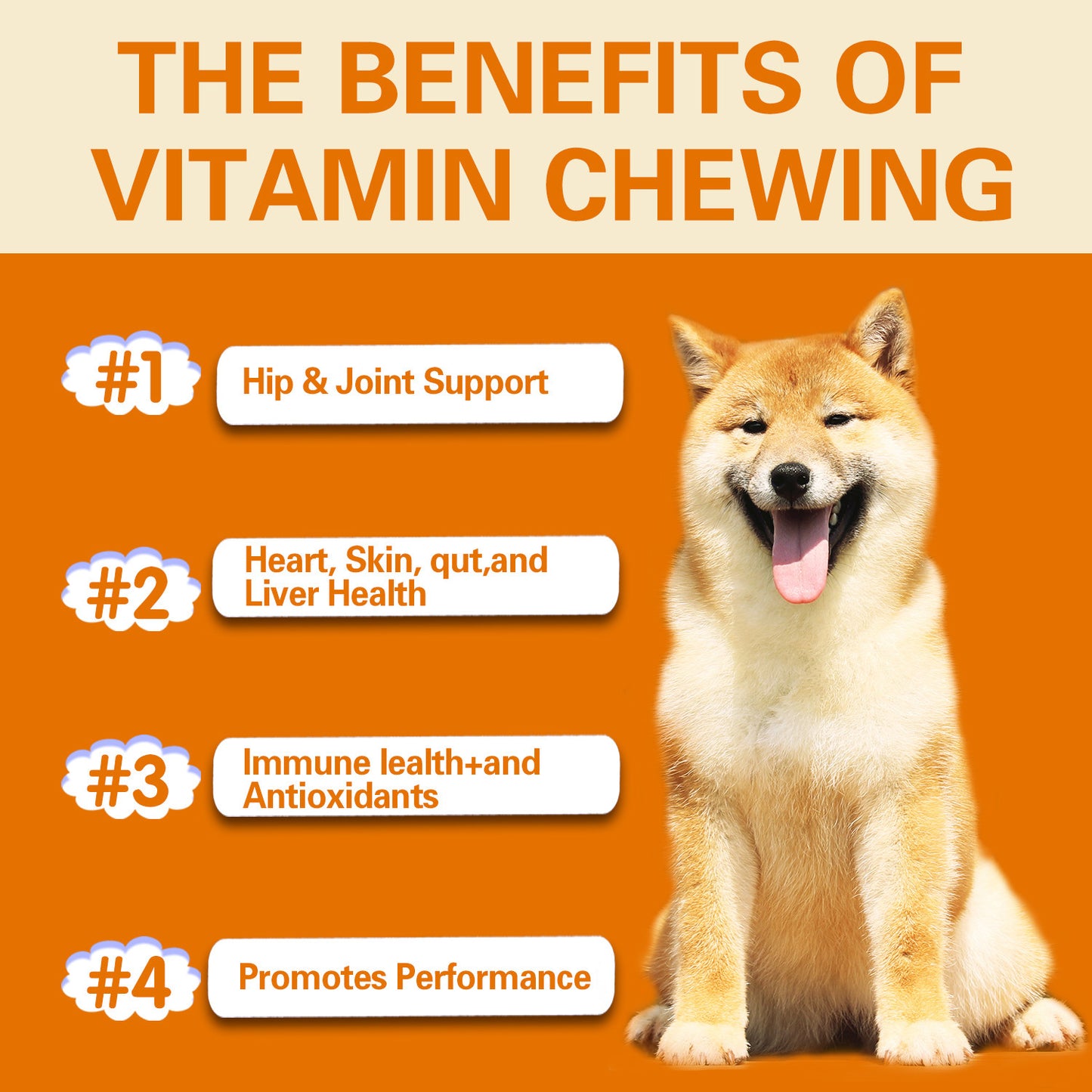 Multifunctional Vitamin Supplement