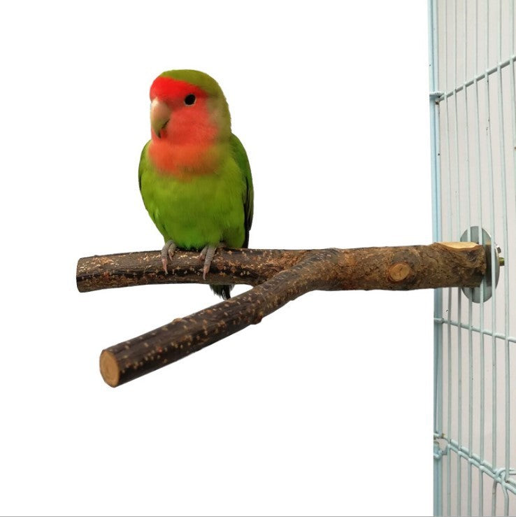 Rattan Ring Bird Standing Frame Toy
