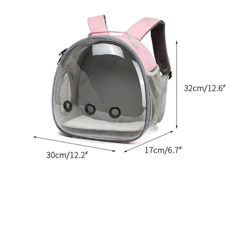Transparent Backpack Carrier