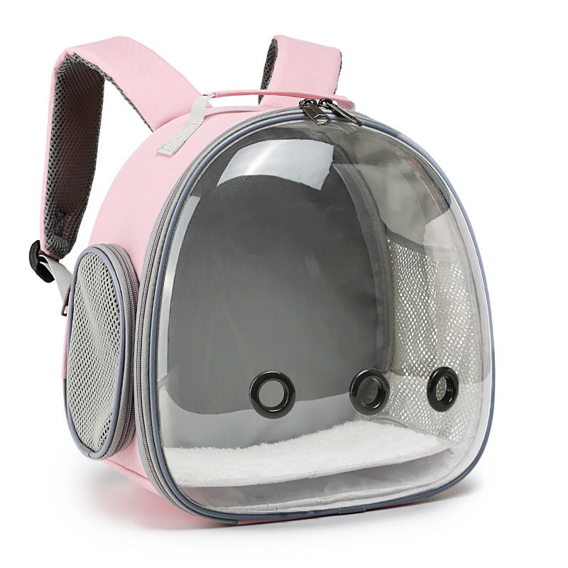 Transparent Backpack Carrier